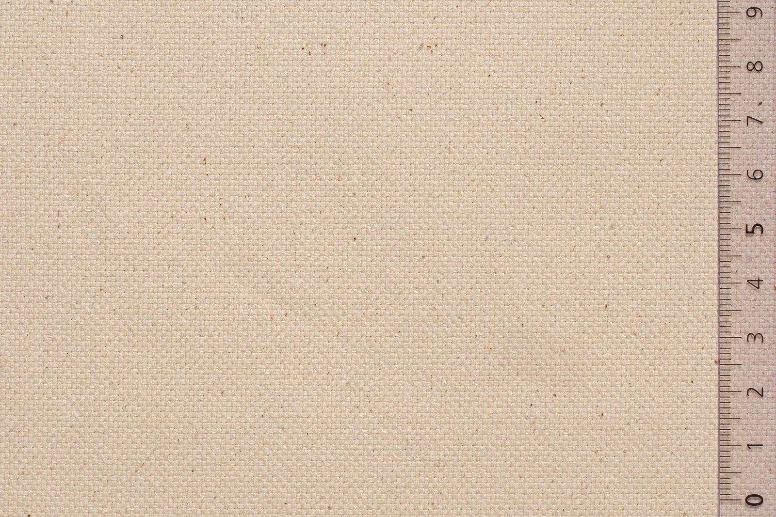 08KARVAR000ECRxxxCOT[SAILCLOTH HEAVY](ECRU)F